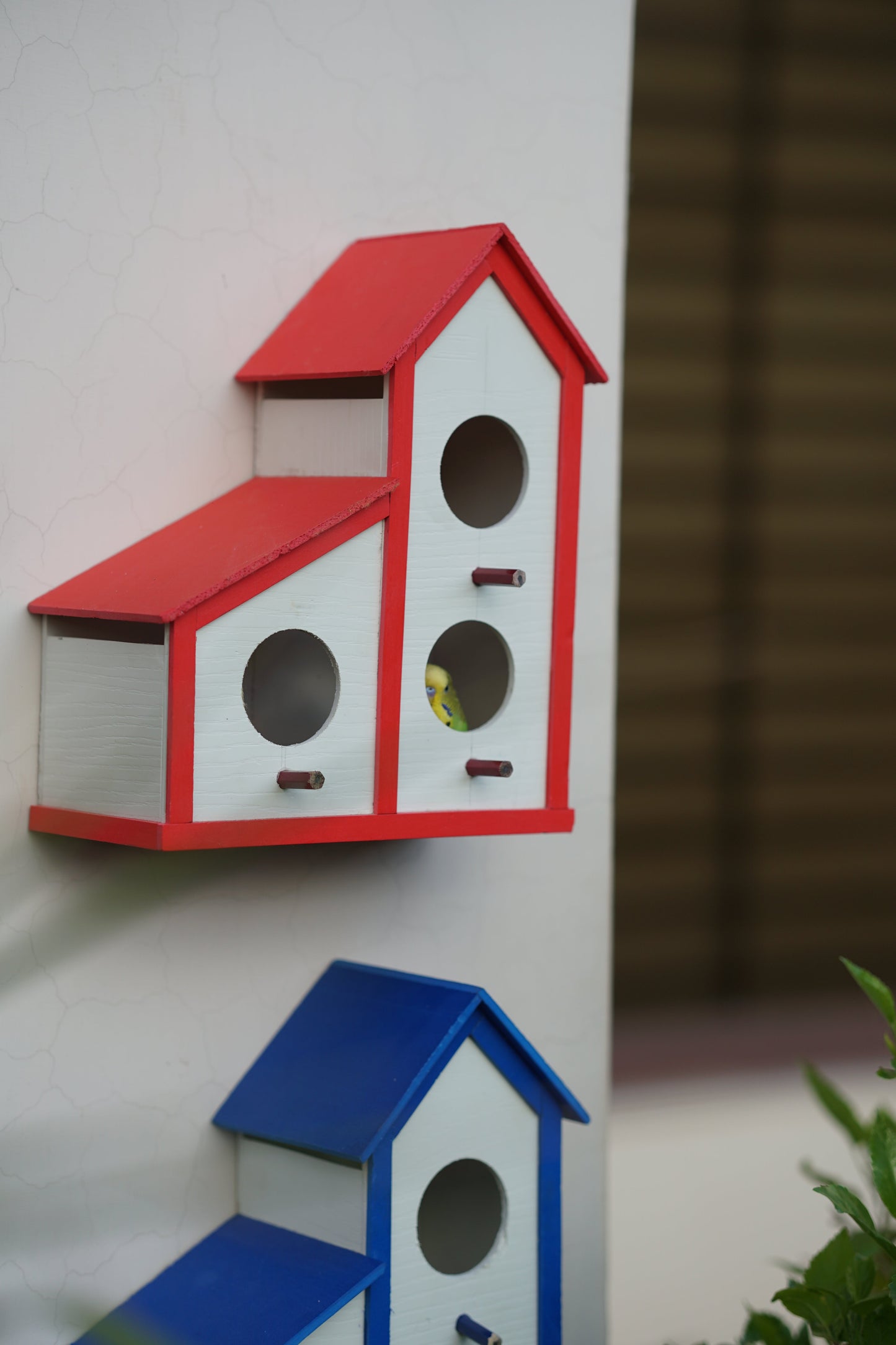 PVC 3 in 1 Colony Bird house