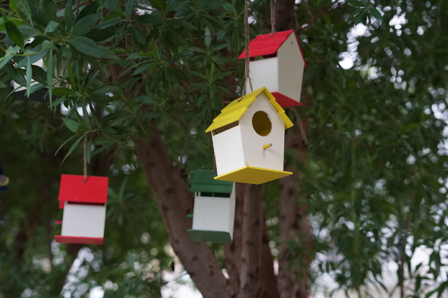 PVC Premium Bird House