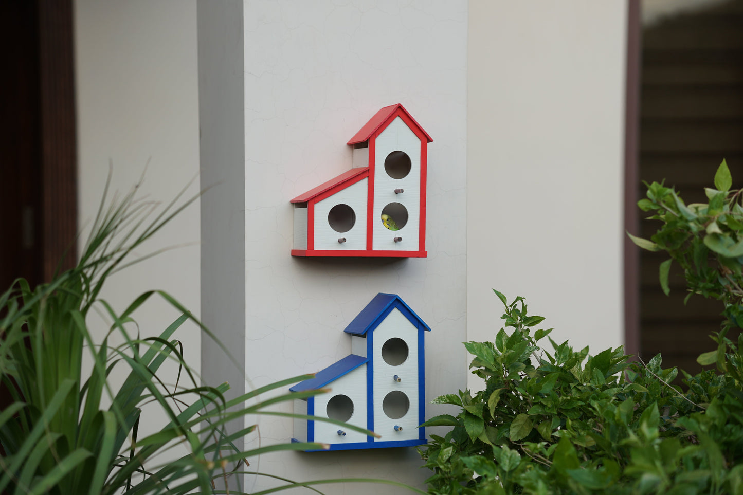 PVC 3 in 1 Colony Bird house