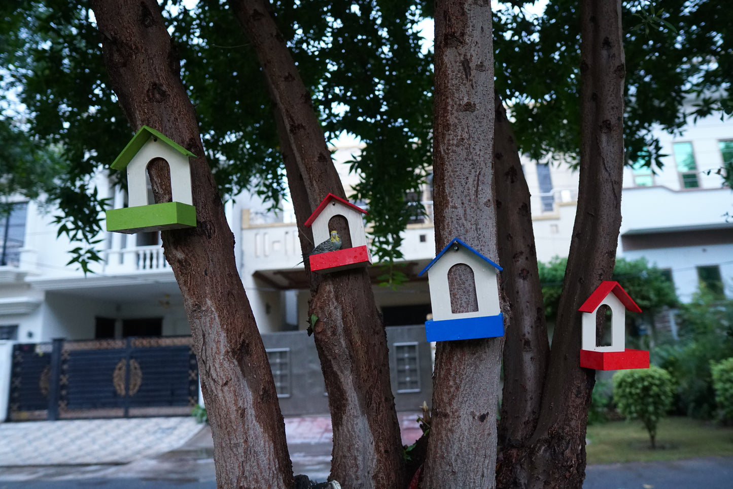 PVC Bird Feeder Waterproof