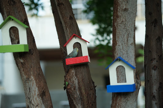PVC Bird Feeder Waterproof