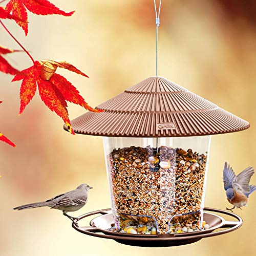 Premium Hanging Bird Feeder – Durable, Stylish