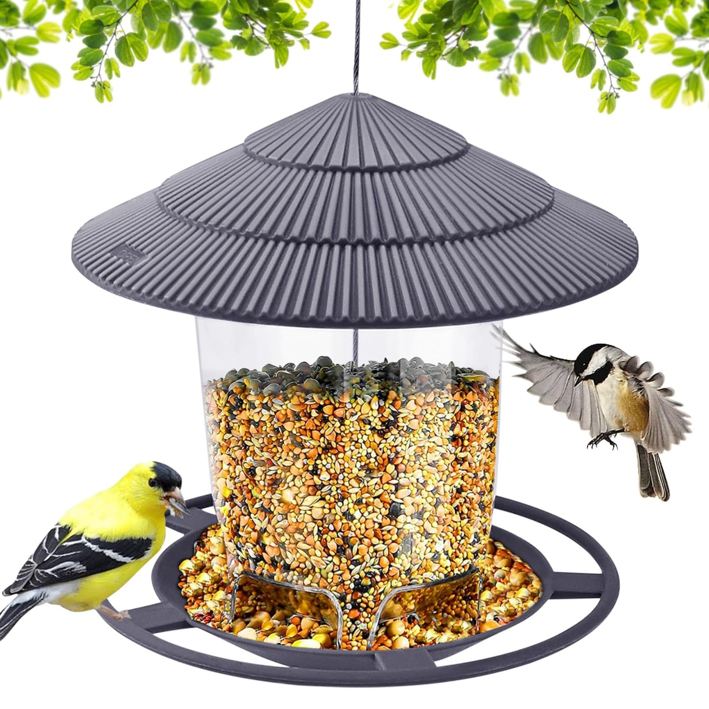 Premium Hanging Bird Feeder – Durable, Stylish