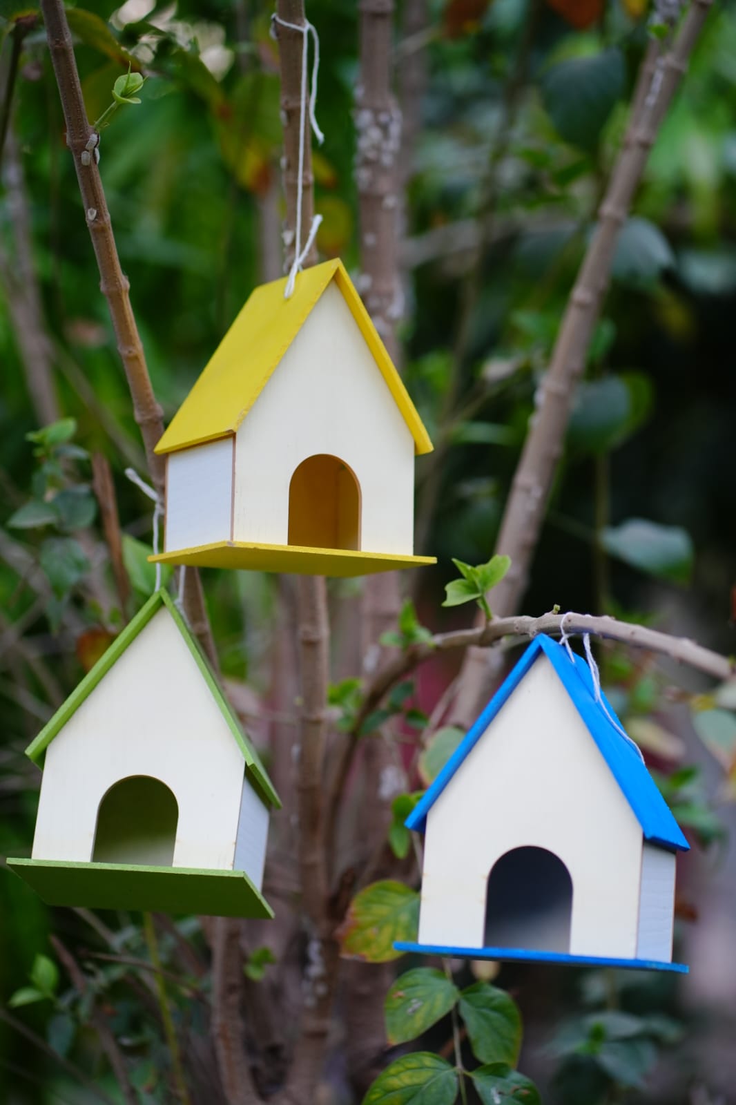 Cozy Wide-Roof Birdhouse
