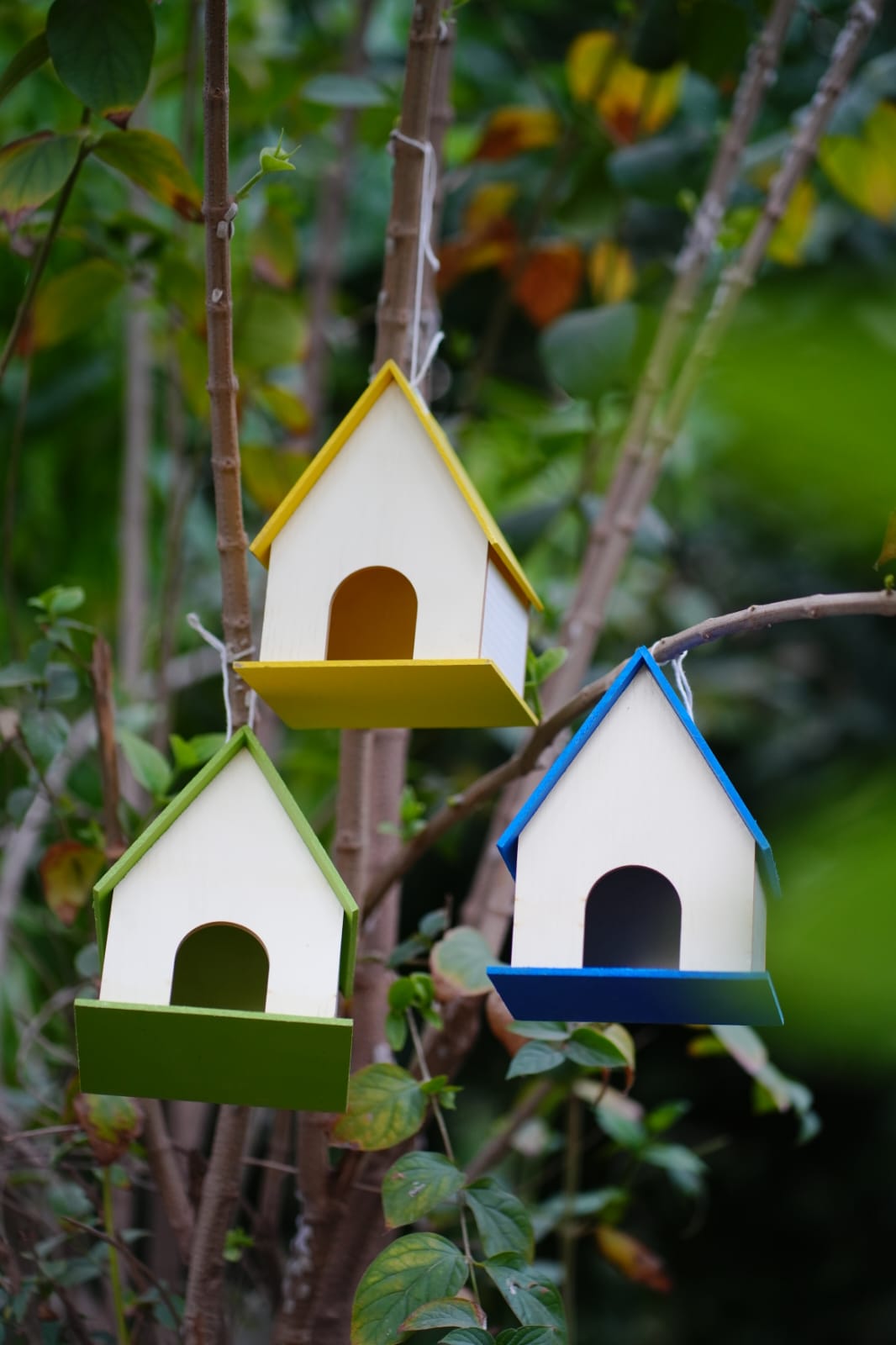 Cozy Wide-Roof Birdhouse