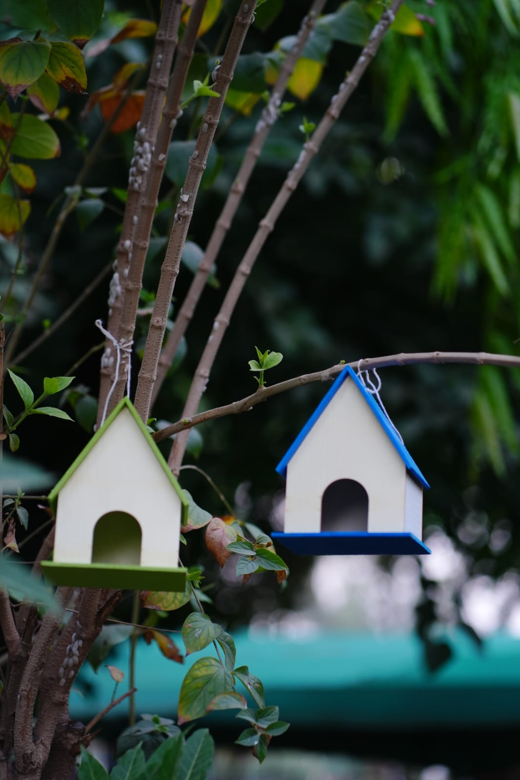 Cozy Wide-Roof Birdhouse