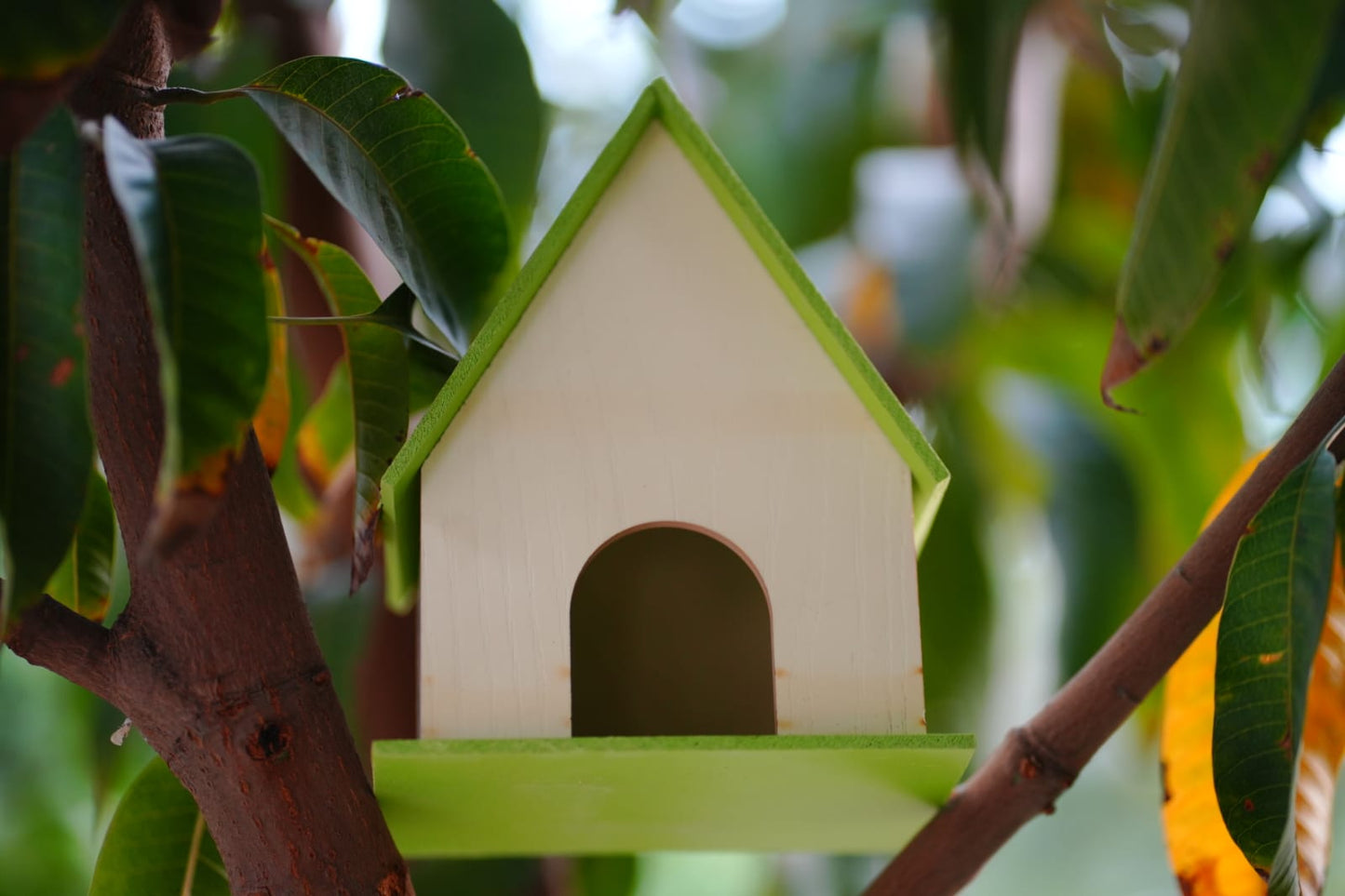Cozy Wide-Roof Birdhouse