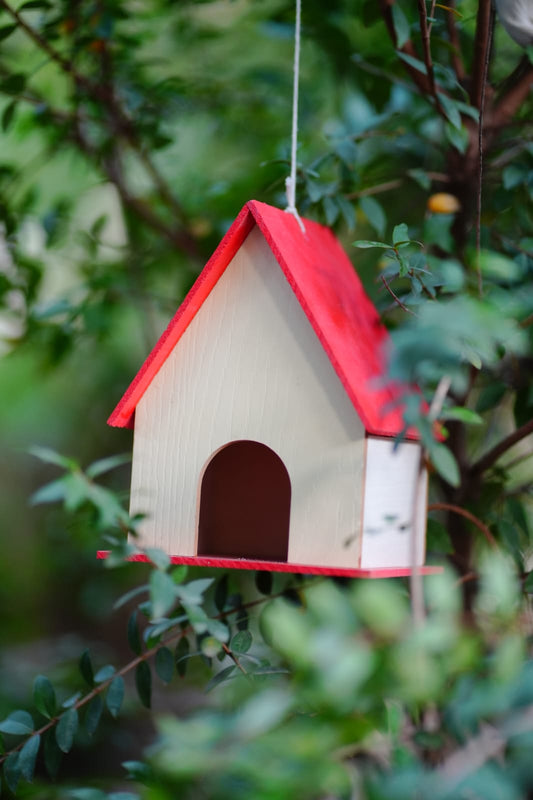 Cozy Wide-Roof Birdhouse